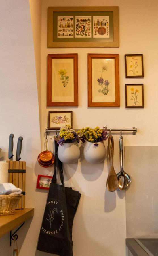 Apartmán Artloft Novi Sad Exteriér fotografie